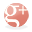 Google icon